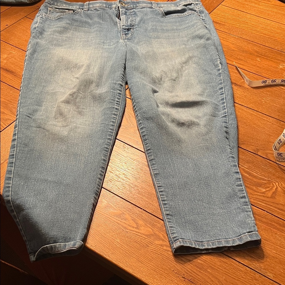 Terra & Sky Light Blue Ankle Jeans